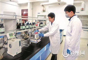 泉港新闻网